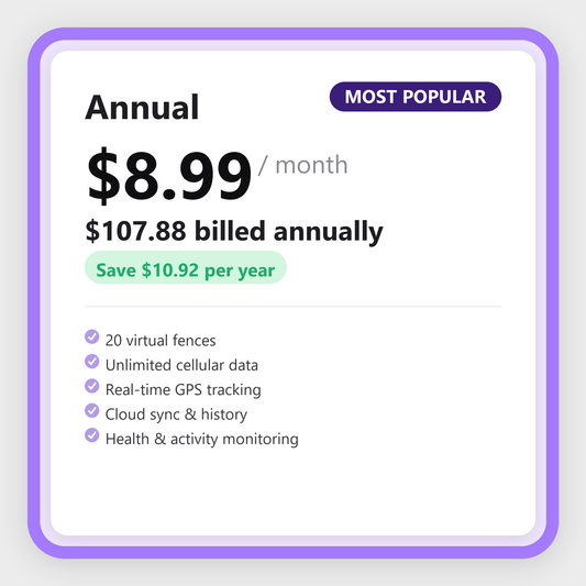 Annual Plan