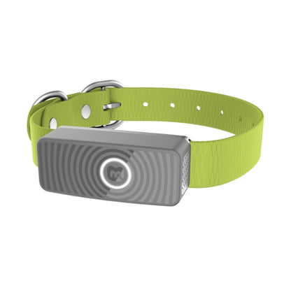 Collar Max