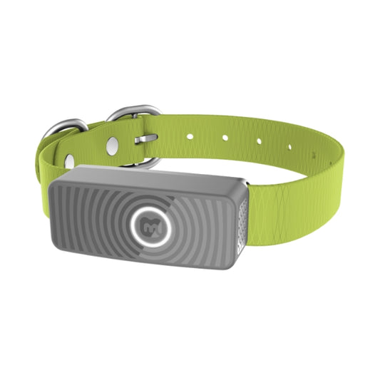 Collar Max